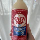 腸内環境を整える