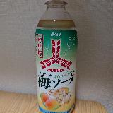 梅酒のソーダ割りみたい！