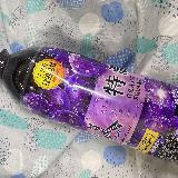 こい！！