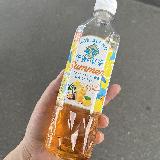 夏にぴったりなさっぱりとしたアイスティー