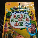 楽しいです