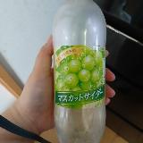 夏に美味しいスッキリサイダー