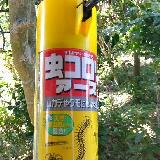 夏に出番増