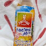 トロピカルな感じ