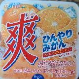 爽やかで懐かしい味
