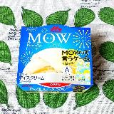 定番のバニラアイス