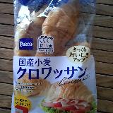 手のひらサイズ