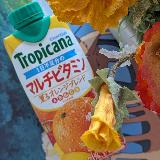 オレンジ