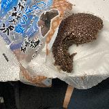 大きな蒸しパン