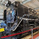 D51
