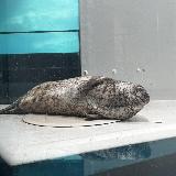 また行きたくなるような水族館