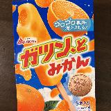 みかんがたっぷり