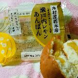 夏にピッタリのレモンの酸味と餡のハーモニー