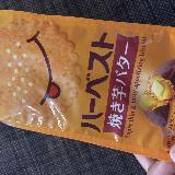 秋の味覚スタート！