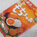 グミというより和菓子っぽい