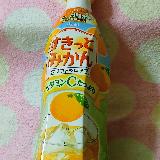 みかんの希釈タイプのドリンク
