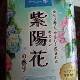紫陽花