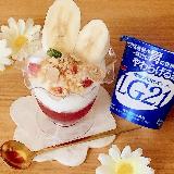 胃に優しい優秀ヨーグルト