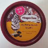 贅沢なアイスクリーム！
