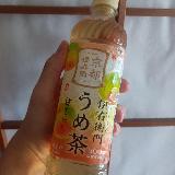 お茶にして酸っぱい刺激！