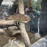 動物との距離が近くて大満足