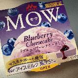 レアチーズ感は控えめですが美味しい