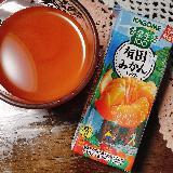 さっぱりとした有田みかんミックス味