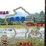 海産物が安い！