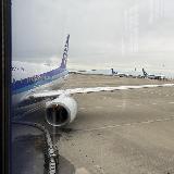 安心の航空会社です