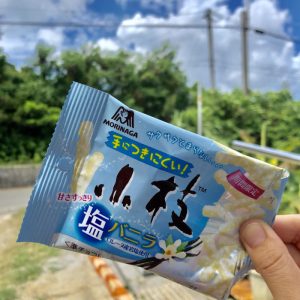 森永製菓 小枝＜塩バニラ＞（チョコ・焼き菓子）