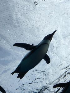 サンシャイン水族館（水族館）