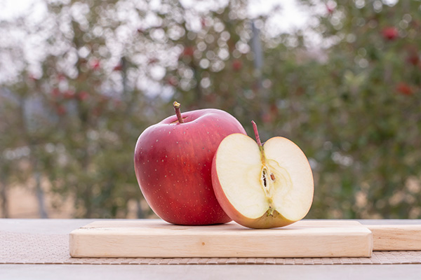 長野・青森産「ふじりんご」の「モッタイナイ果実」