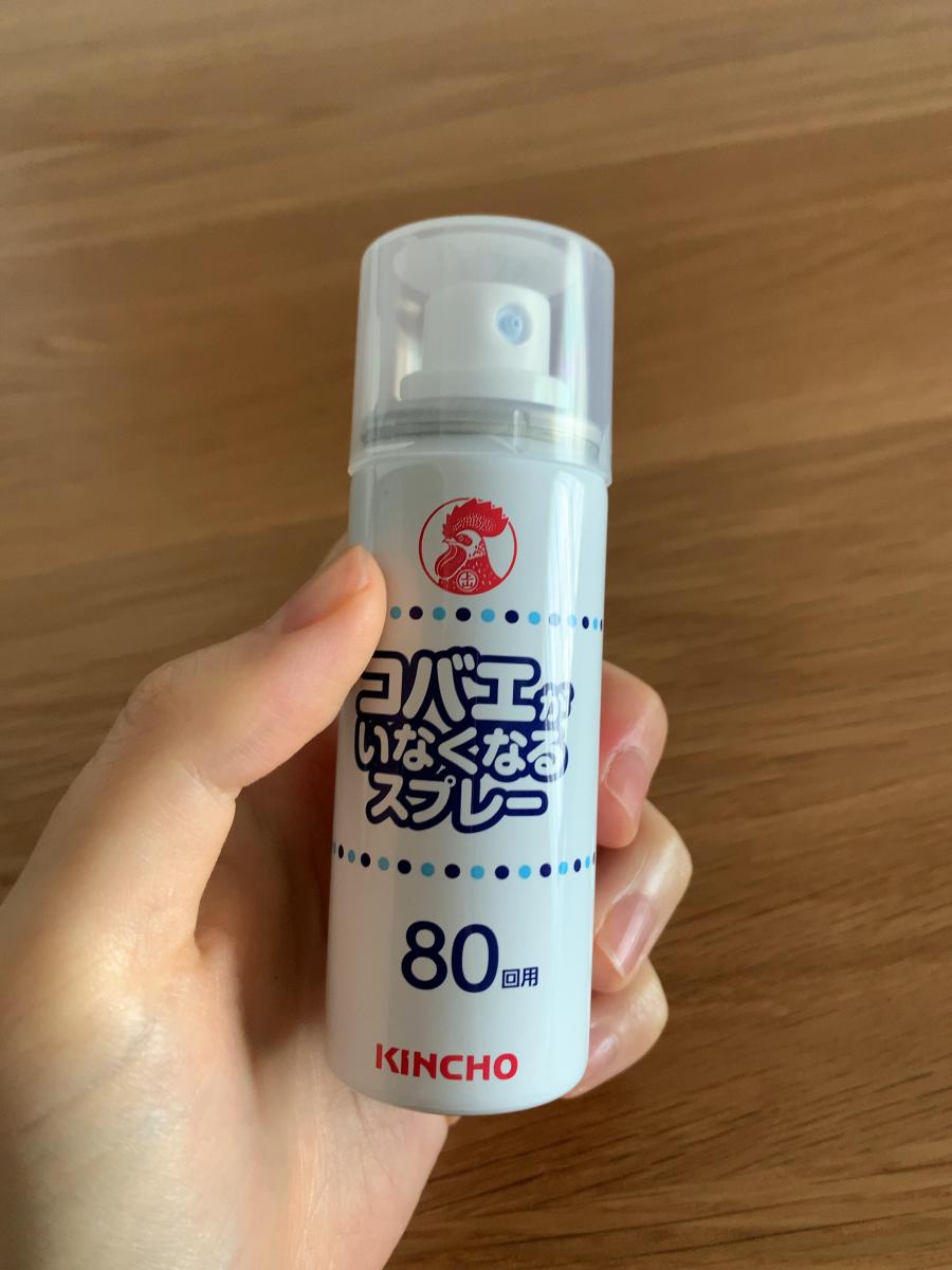 大日本除虫菊 コバエがいなくなるスプレー