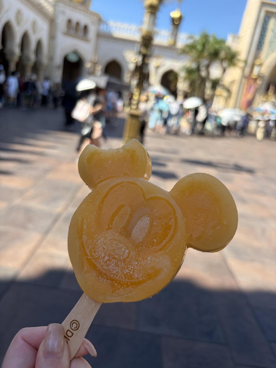 東京ディズニーシー 口口コミ写真